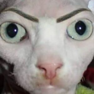 Meet your Posher, Andy